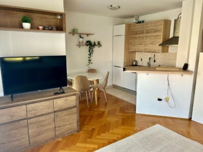 Stan (47m2) - 700 eur, Ravnice, dugorocni najam